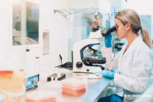 做好赴美试管流程攻略是成功好孕必备