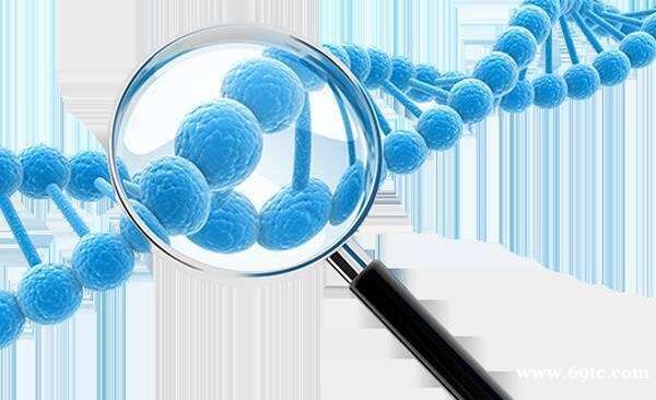 免疫性不孕,美国试管婴儿好孕措施及助孕方法 免疫性不孕,美国试管婴儿好孕措施及助孕方法