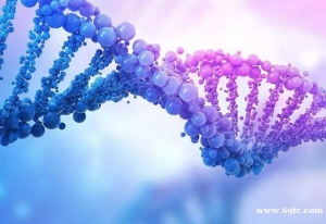 去美国做试管，提高FSH值偏高女性孕力的方法