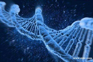 自身条件与医院因素共同决定美国试管成功率