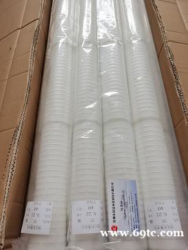 10寸折叠滤芯 PP棉微孔折叠滤芯 0.1/0.22/0.45/1/5/10微米 平口 10寸折叠滤芯 PP棉微孔折叠滤芯 0.1/0.22/0.45/1/5/10微米 平口