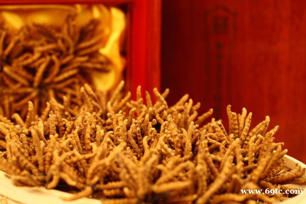 回收冬虫夏草13381455448回收鱼胶海参 回收冬虫夏草13381455448回收鱼胶海参