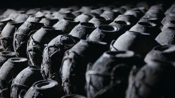 揭秘九江双蒸为什么“醒得快,轻负担”