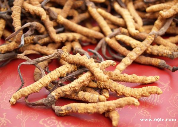 北京上门回收冬虫夏草礼品13439830111收购鱼胶海参燕窝 北京上门回收冬虫夏草礼品13439830111收购鱼胶海参燕窝