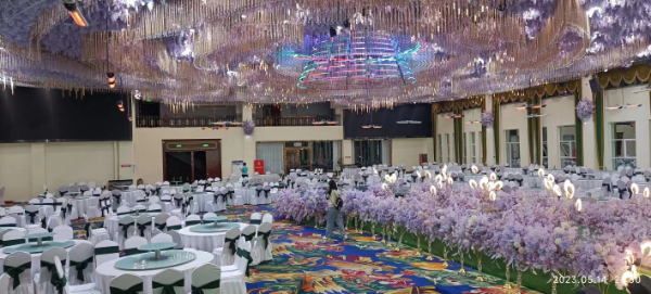 伟而特红外供暖温暖内蒙古宴会城