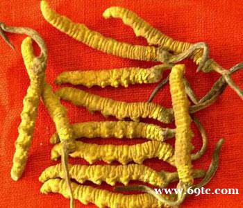 回收东阿阿胶13811172592回收虫草燕窝 回收东阿阿胶13811172592回收虫草燕窝