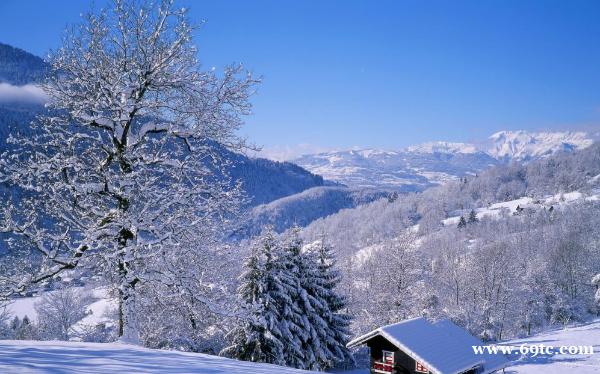 伟而特取暖器在阿尔卑斯高山民宿的应用案例分析 伟而特取暖器在阿尔卑斯高山民宿的应用案例分析