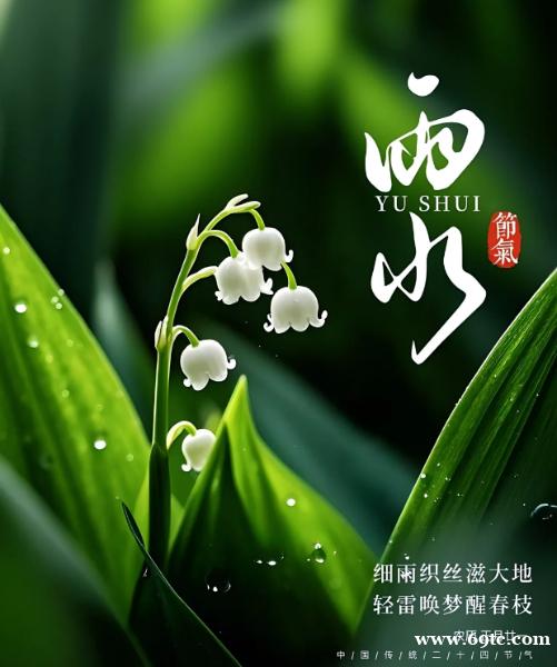 雨水节气与九江双蒸:岭南佳酿的温润情怀 雨水节气与九江双蒸:岭南佳酿的温润情怀