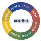 全网营销：数字化时代企业的生存法则与增长密码