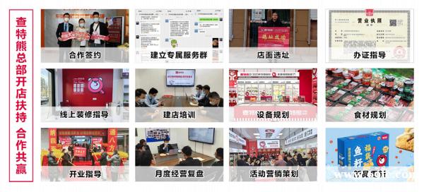 从失业到重生:一个中年人的查特熊创业逆袭之路 从失业到重生:一个中年人的查特熊创业逆袭之路