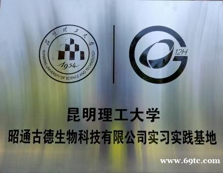 昭通野生天麻治疗眩晕 昭通野生天麻治疗眩晕