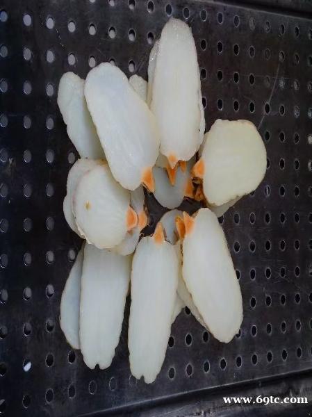 昭通仿野生天麻禁忌 昭通仿野生天麻禁忌