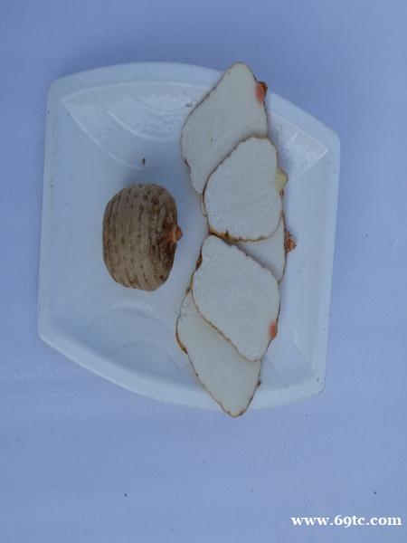 昭通真天麻区分 昭通真天麻区分