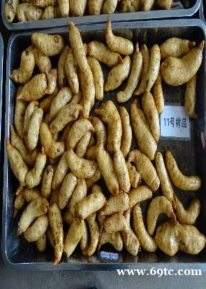 彝良鲜天麻收购 彝良鲜天麻收购