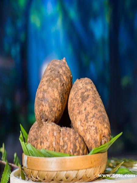 昭通天麻有多少种 昭通天麻有多少种