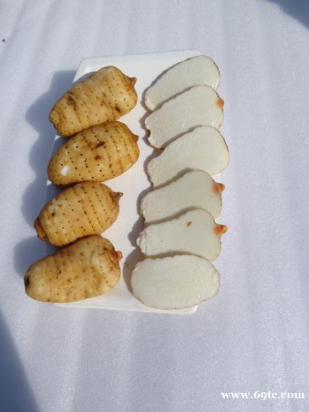 昭通天麻失眠 昭通天麻失眠