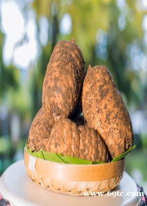 昭通天麻种类 昭通天麻种类