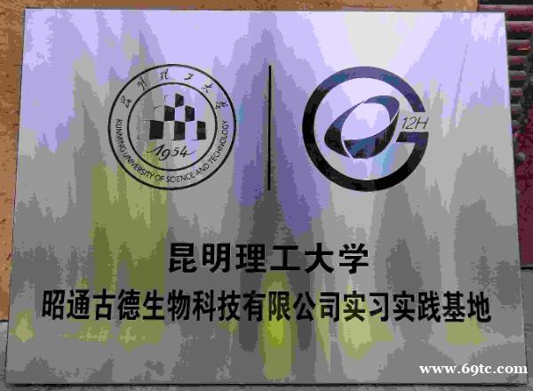 昭通天麻素胶囊 昭通天麻素胶囊