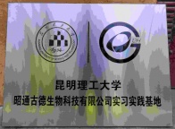 昭通天麻素胶囊