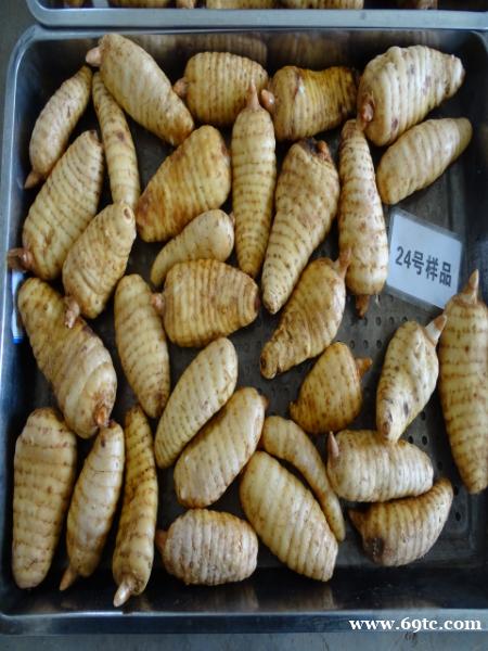 昭通干天麻副作用 昭通干天麻副作用