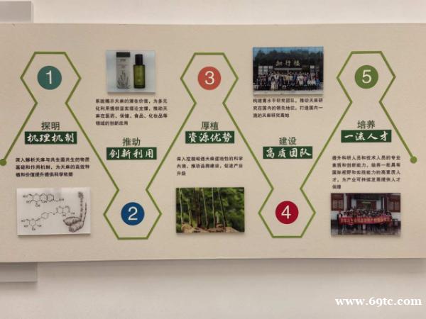 昭通小草坝天麻产地 昭通小草坝天麻产地