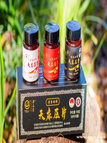 昭通小草坝天麻季节采收 昭通小草坝天麻季节采收