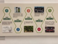 昭通小草坝天麻产地