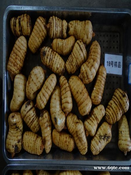 昭通活天麻治疗眩晕 昭通活天麻治疗眩晕