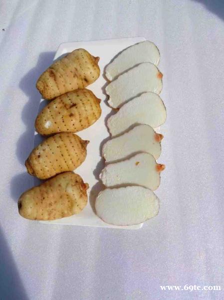 彝良鲜天麻加工制作过程 彝良鲜天麻加工制作过程