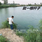 大力水手单杆机,锂电一体电渔杆,锂电一杆清