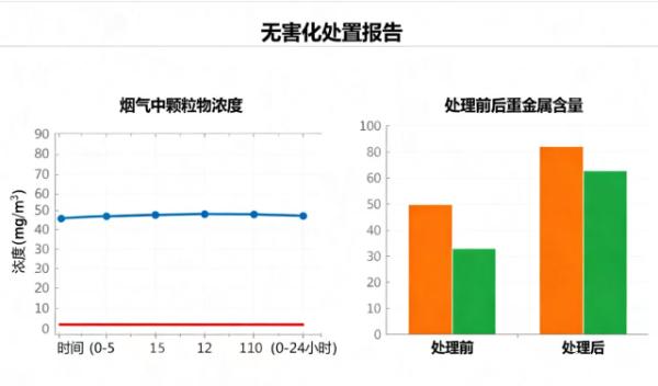 无害化处置报告 无害化处置报告