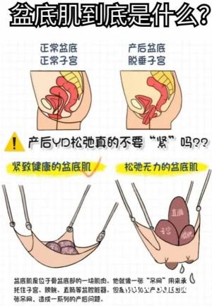 产后修复不是选择题:给每个妈妈的健康重启键 产后修复不是选择题:给每个妈妈的健康重启键