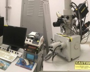 赛默飞扫描电镜市场1