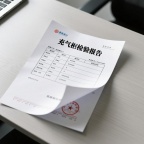 充气柜检验报告