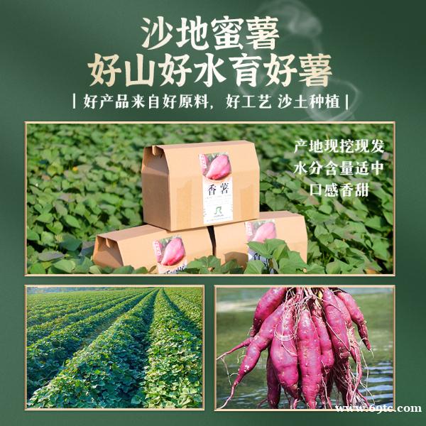 红薯零食创意做法指南:从田间鲜薯到舌尖美味 红薯零食创意做法指南:从田间鲜薯到舌尖美味