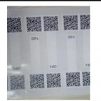 Brady S3188阻燃材料标签