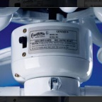 BRADY B-483A 粘胶标签